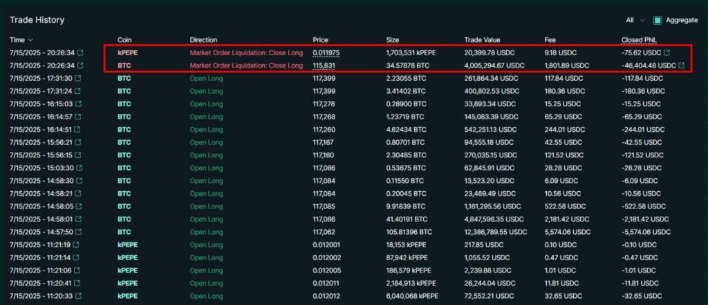 James Wynn high leverage liquidation