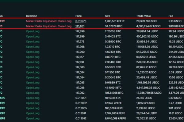 James Wynn high leverage liquidation