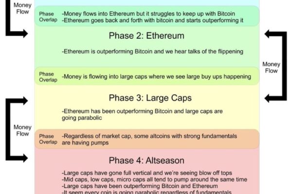 Project Phases Update: Is Phase 1 Complete? What to Expect in Phase 2 Project Phases Update