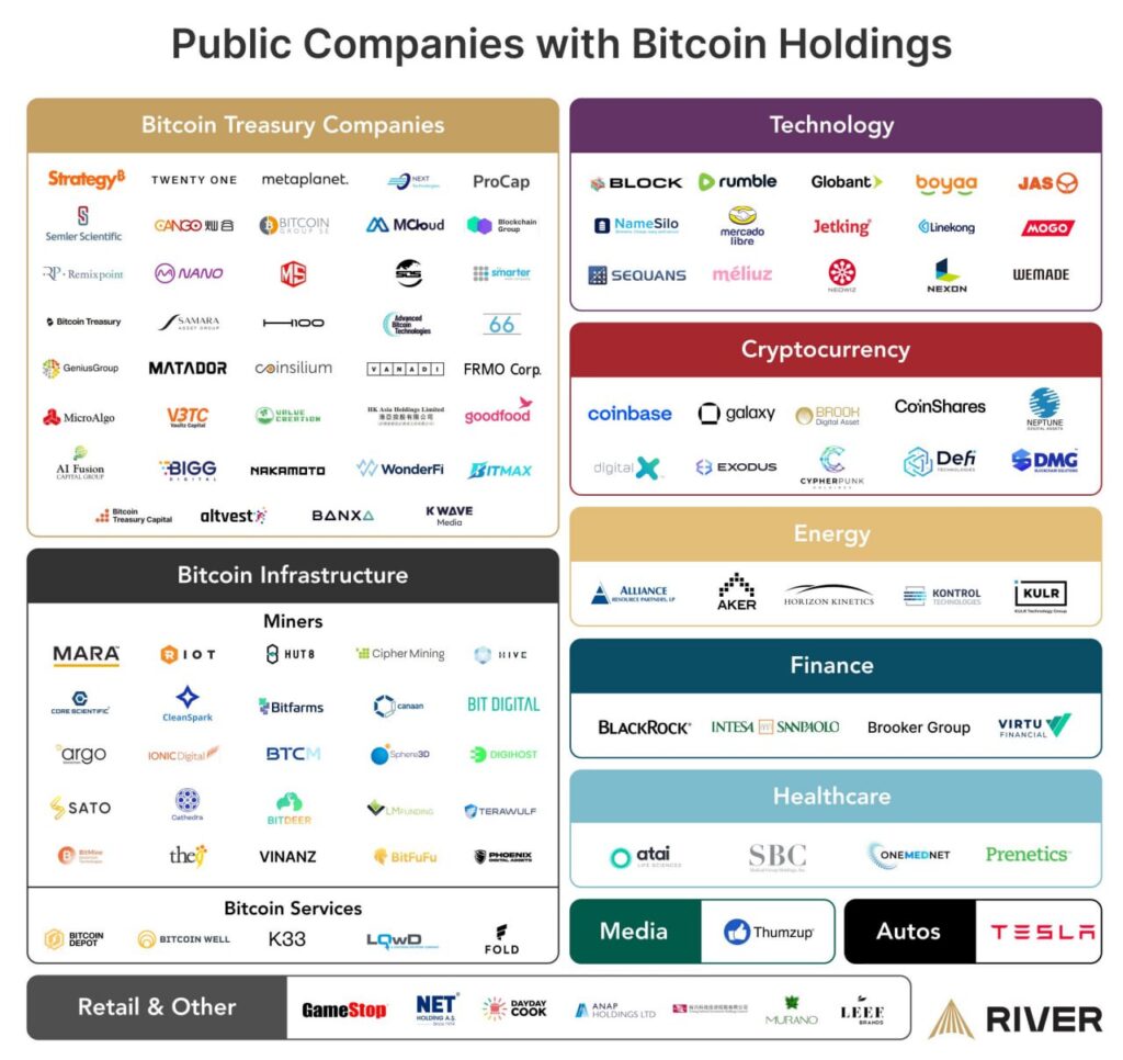 Bitcoin treasury companies holding BTC