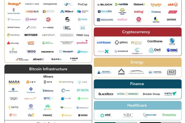 Bitcoin treasury companies holding BTC