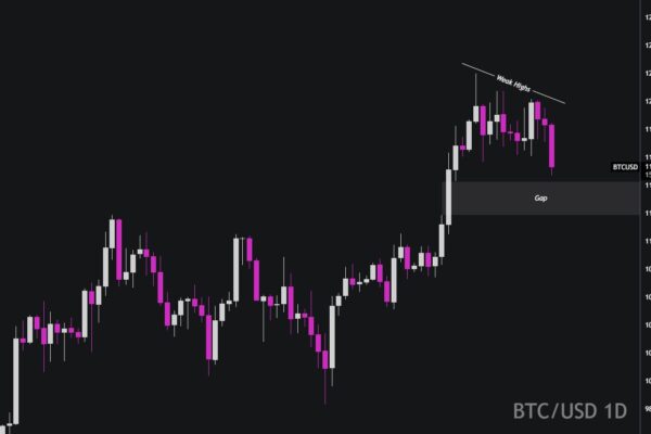 Bitcoin Price Volatility