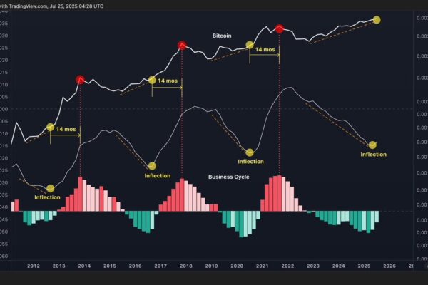 Bitcoin price trend analysis graph