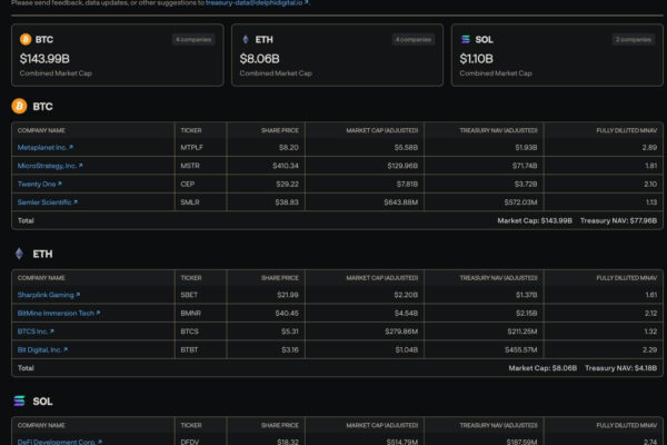 Public Companies Crypto Holdings Dashboard
