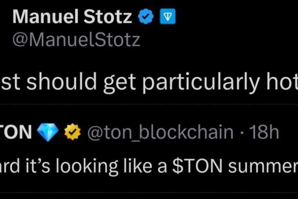 TON Token CEO