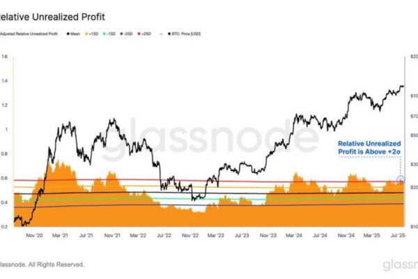 Bitcoin Market Cap Profits Surge
