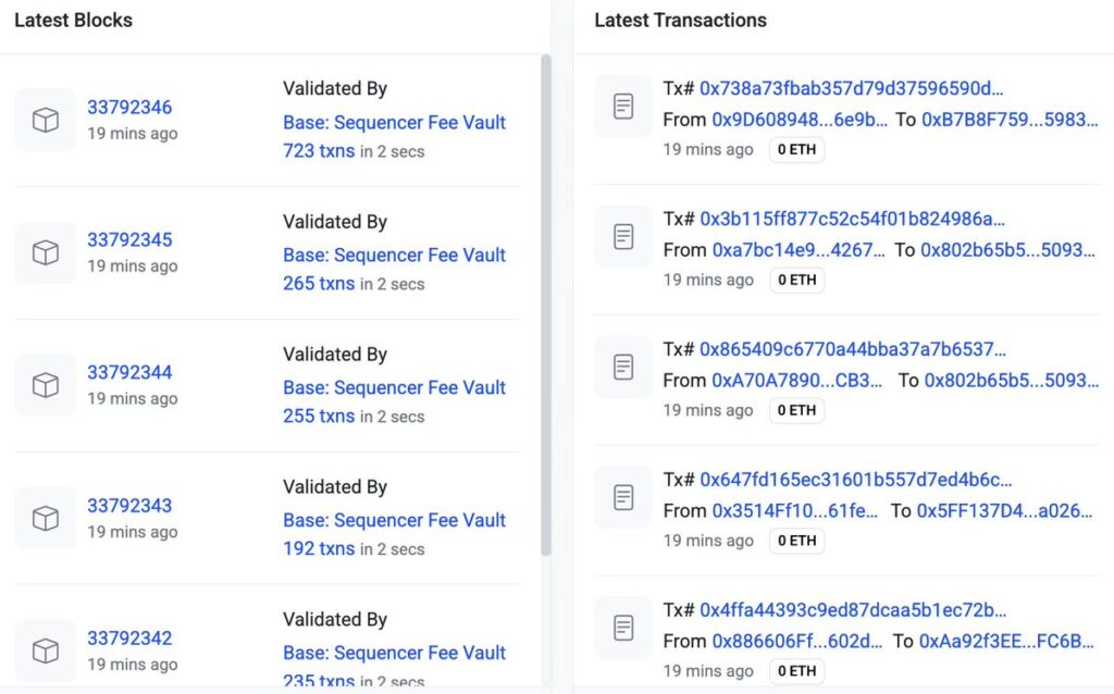 Base Suspends Block Production