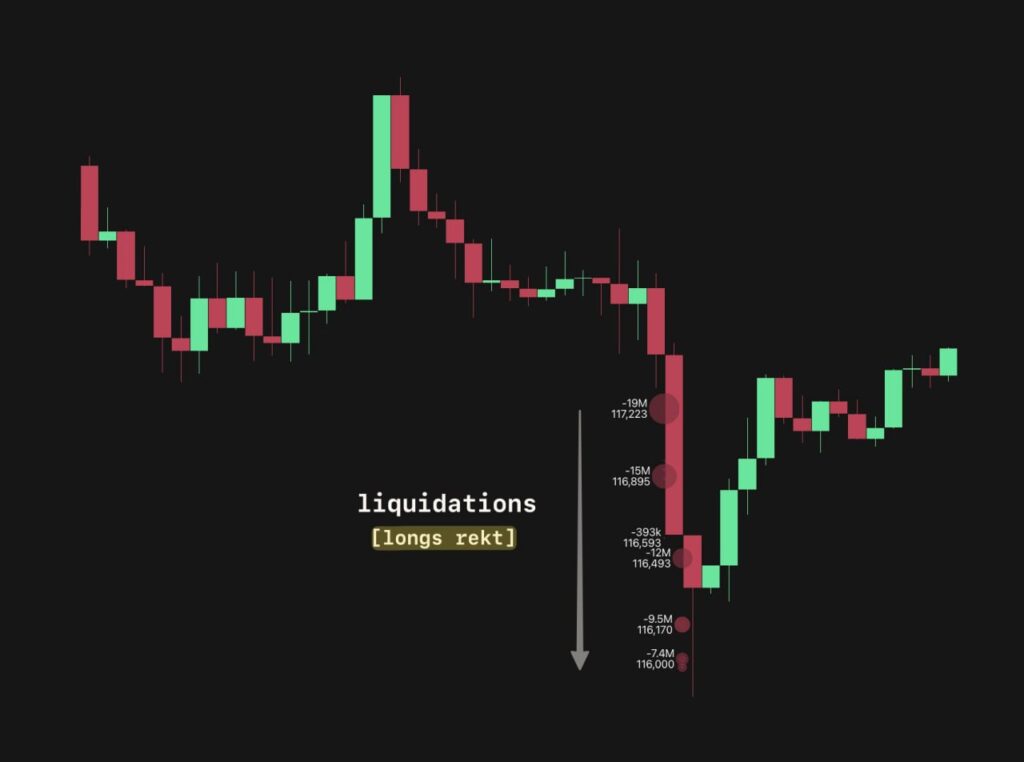 Liquidation Clusters for Market Panic Detection