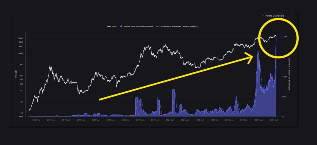 Bitcoin Accumulation Wallets